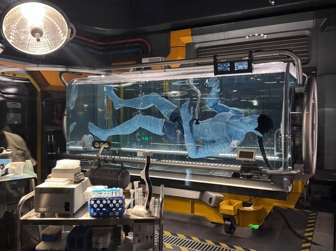 Pandora – The World of Avatar-奥兰多必去景点