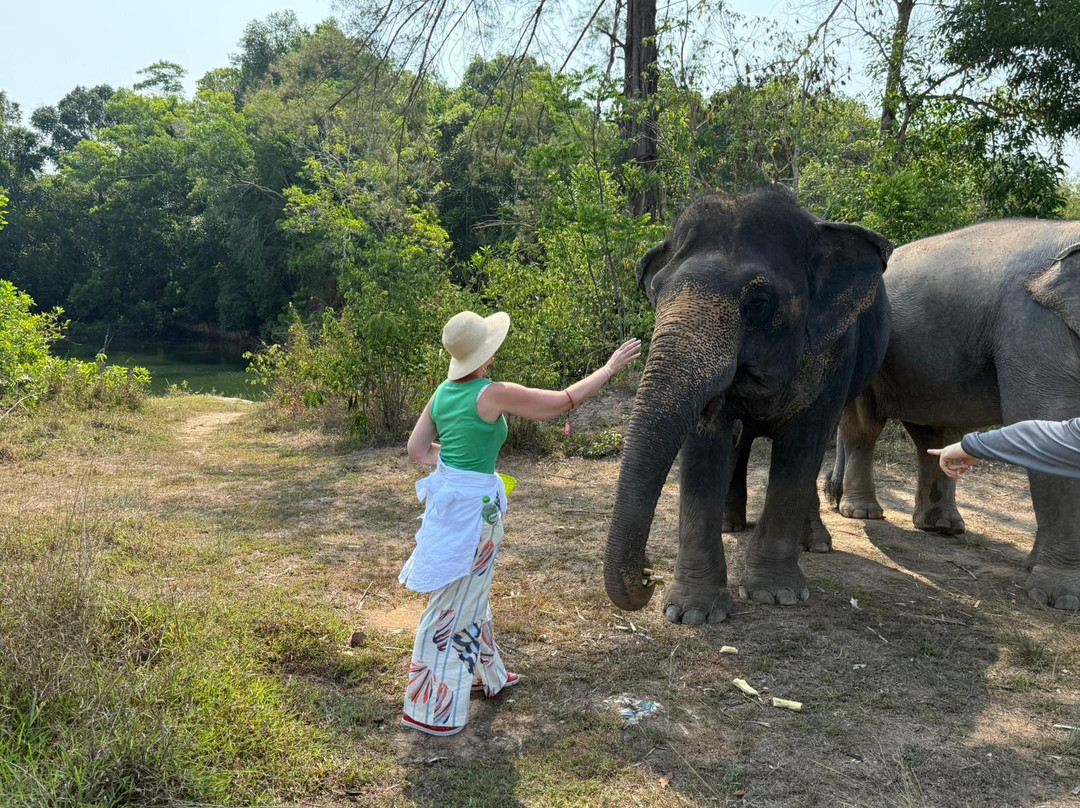 The Lake Phuket Elephant Home-Thep Krasatti必去景点