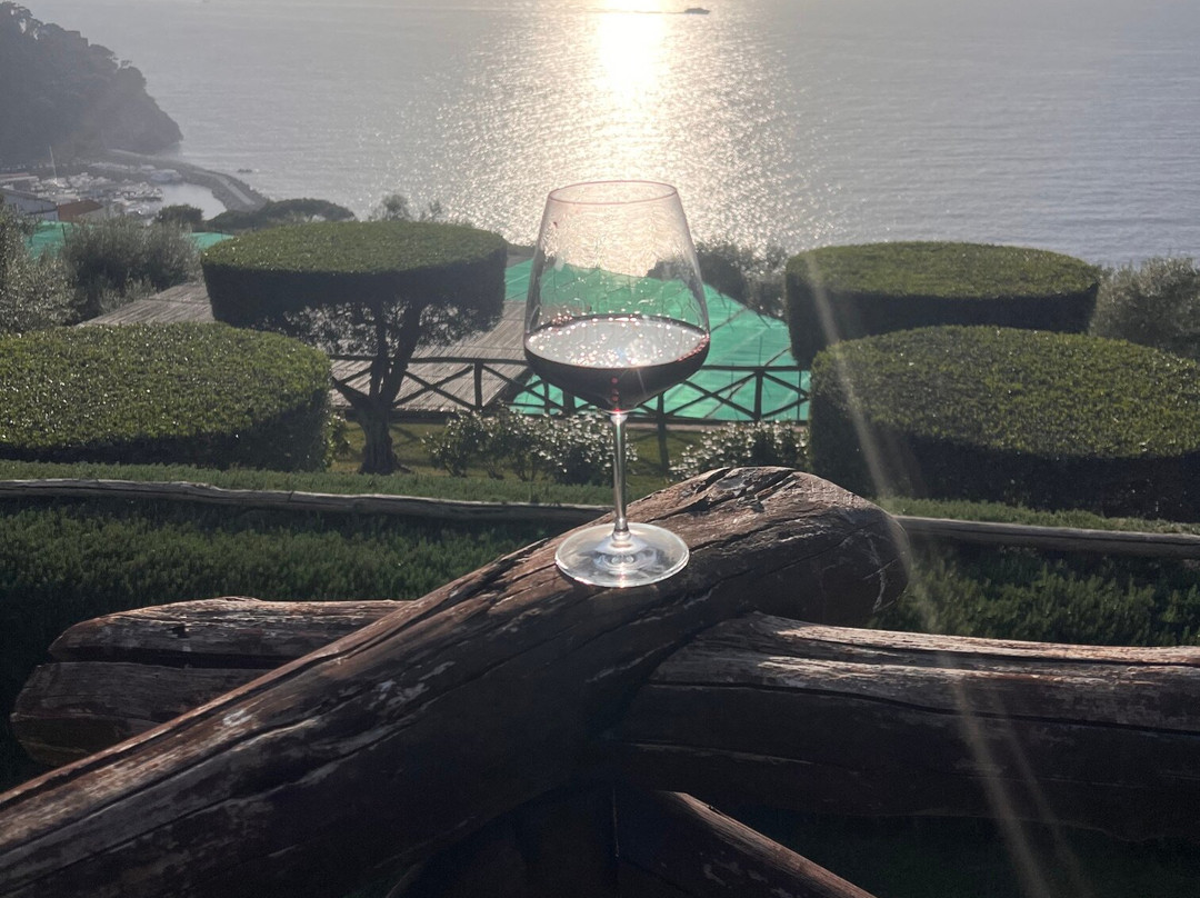 费奥利娜艺术酒店主图