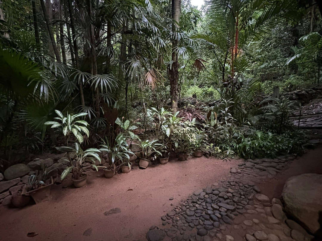 Nature Caves Sri Lanka-科伦坡必去景点