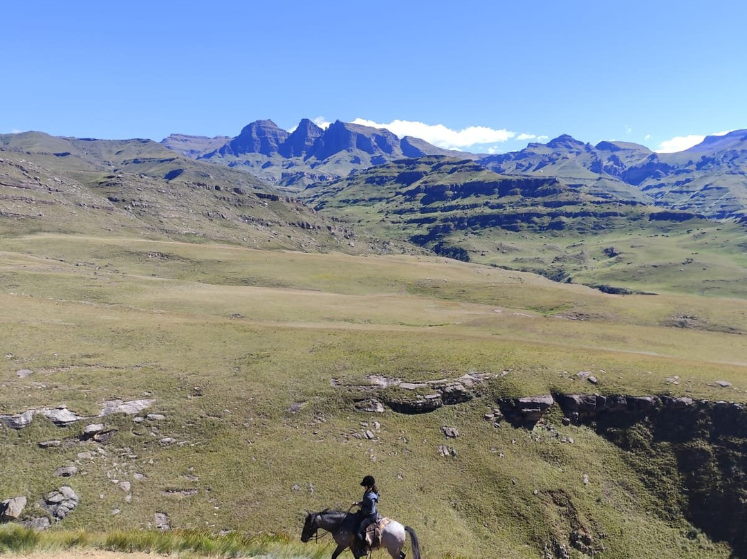 Khotso Horse Trails-安德堡必去景点