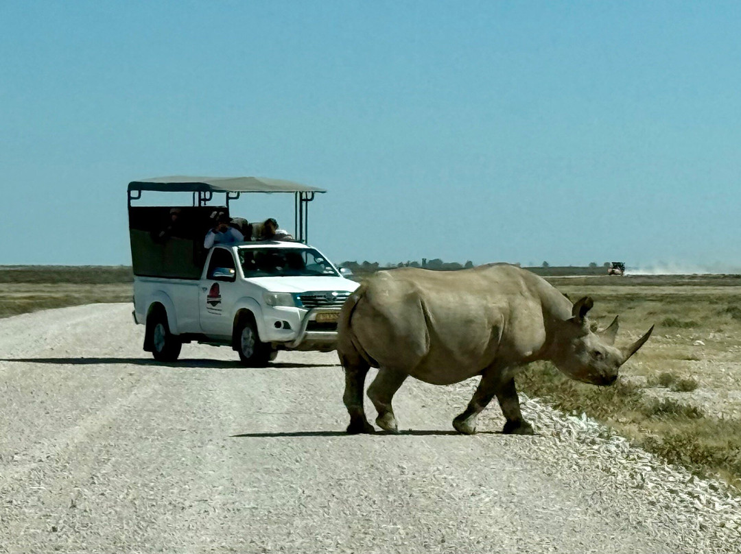 Born in Etosha Self-Drive Private Tours-Okaukuejo必去景点