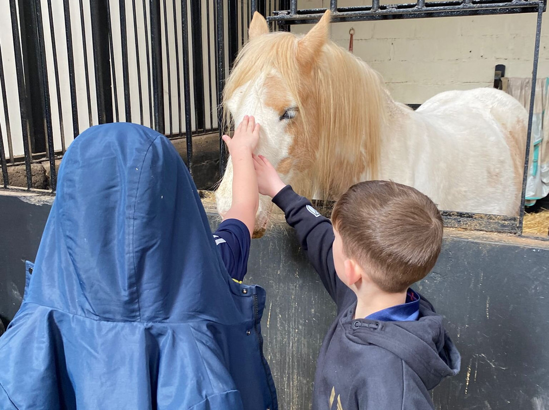 Shire Horse Farm and Carriage Museum-雷德鲁思必去景点