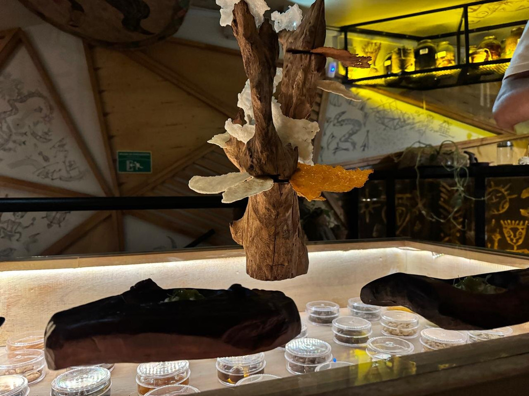 Maloka Museo Gastronómico-麦德林必去景点