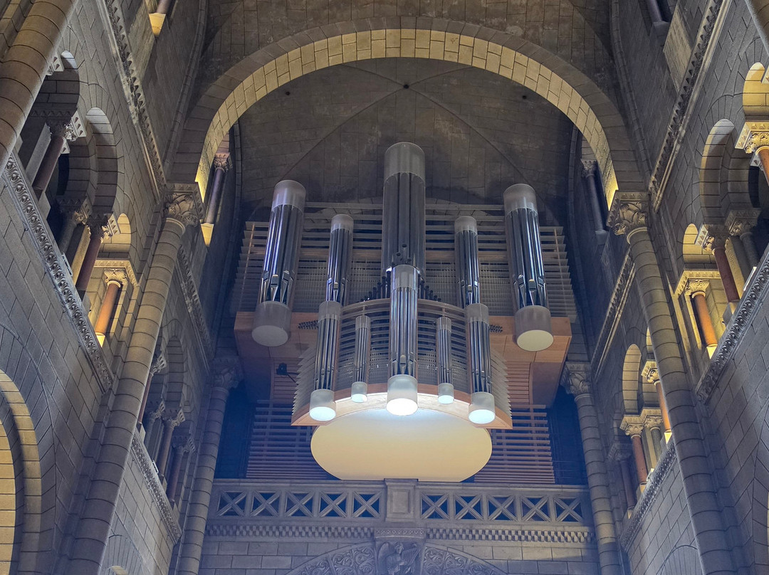 Cathedrale Notre-Dame-Immaculee-摩纳哥城必去景点