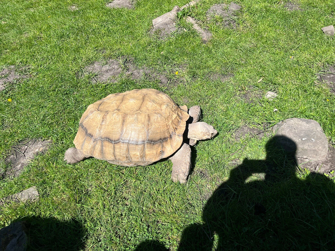 Peak Wildlife Park-Winkhill必去景点