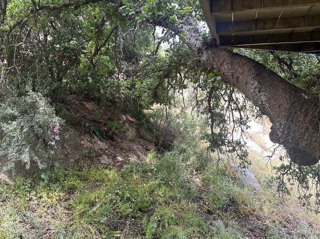 高山微风度假村主图