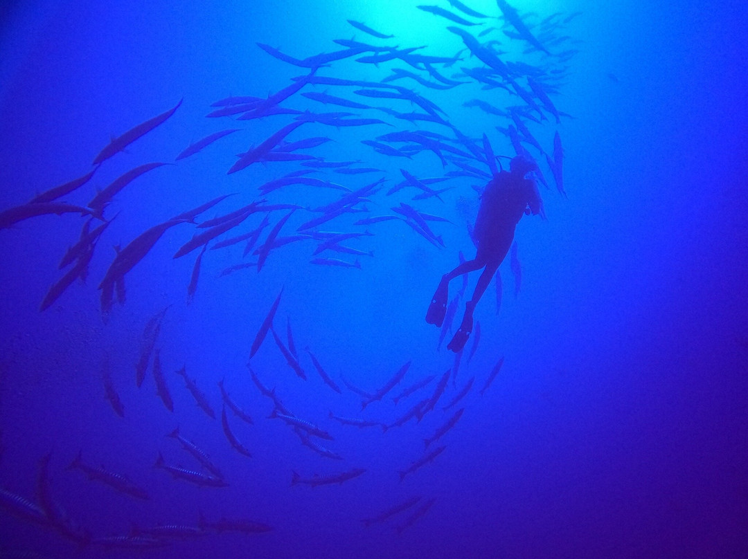Raie Manta Club Rangiroa-阿瓦托鲁必去景点