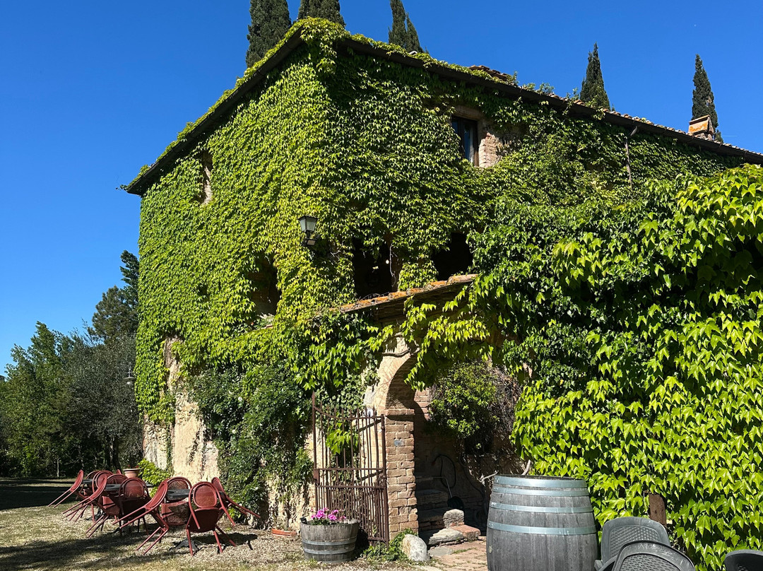 Castello di Bossi-卡斯德尔诺沃贝拉登卡必去景点