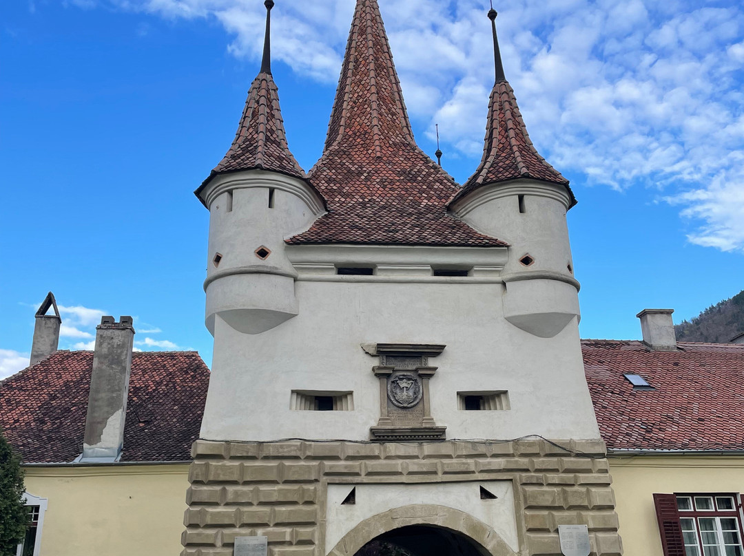 True Romania Tours-阿拉德必去景点