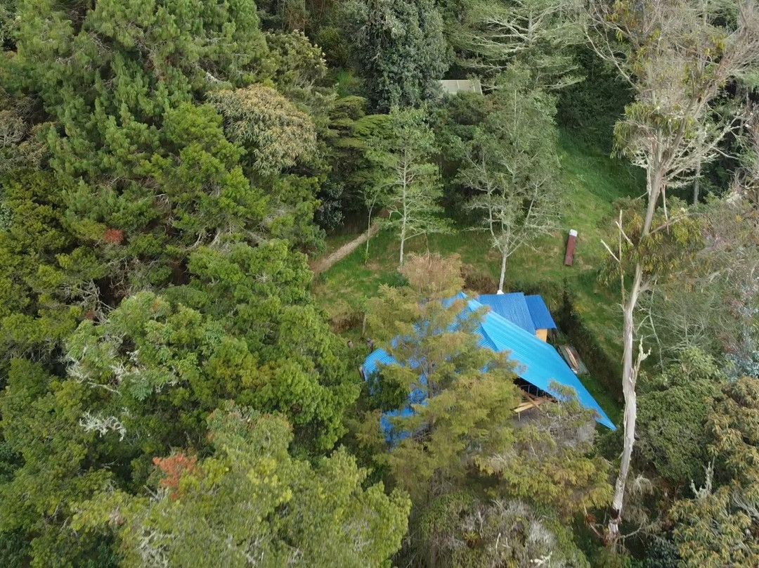 Botanic Health Gardens-Chachagui必去景点