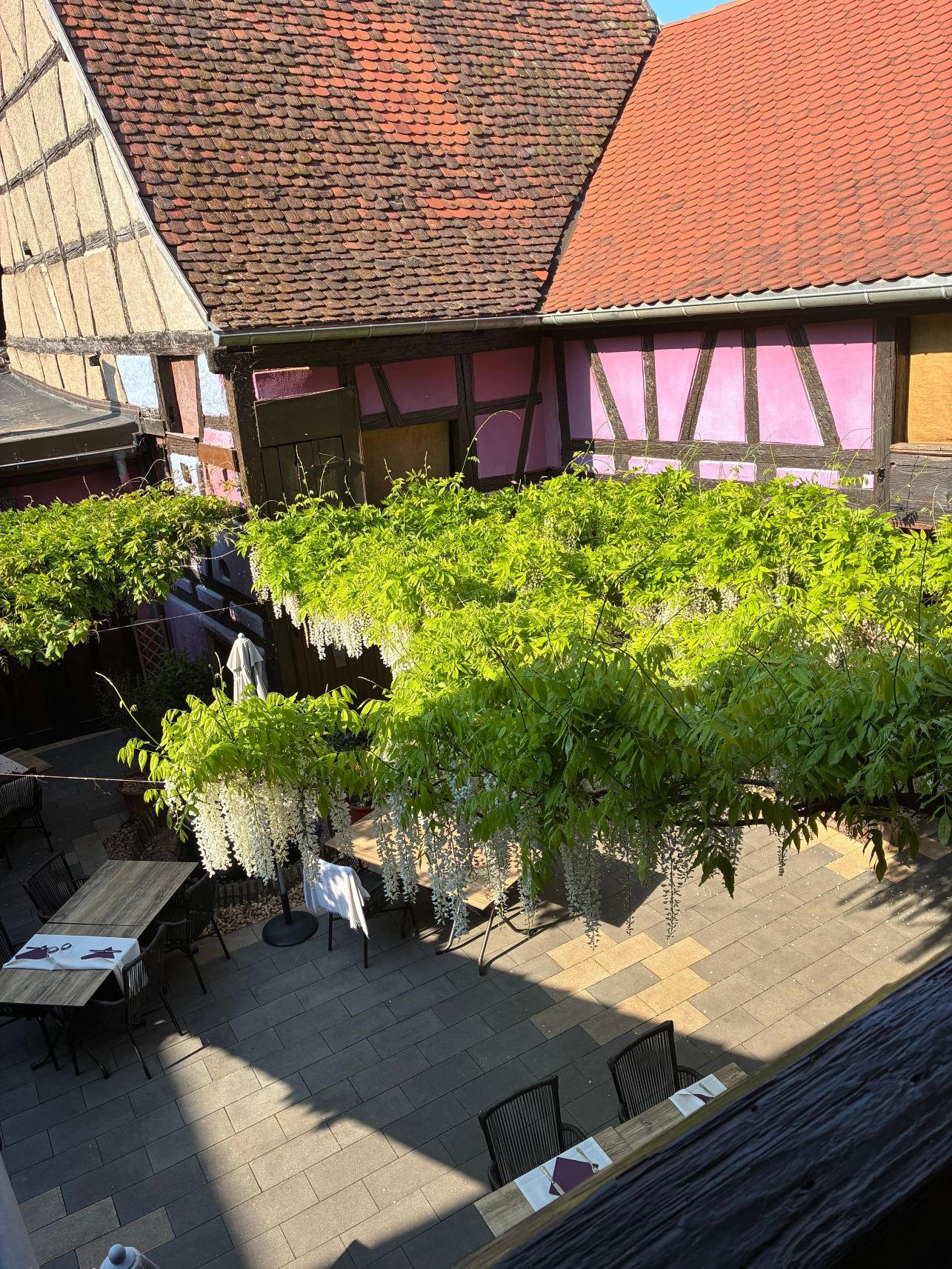 Auberge le Meisenberg-旅行者