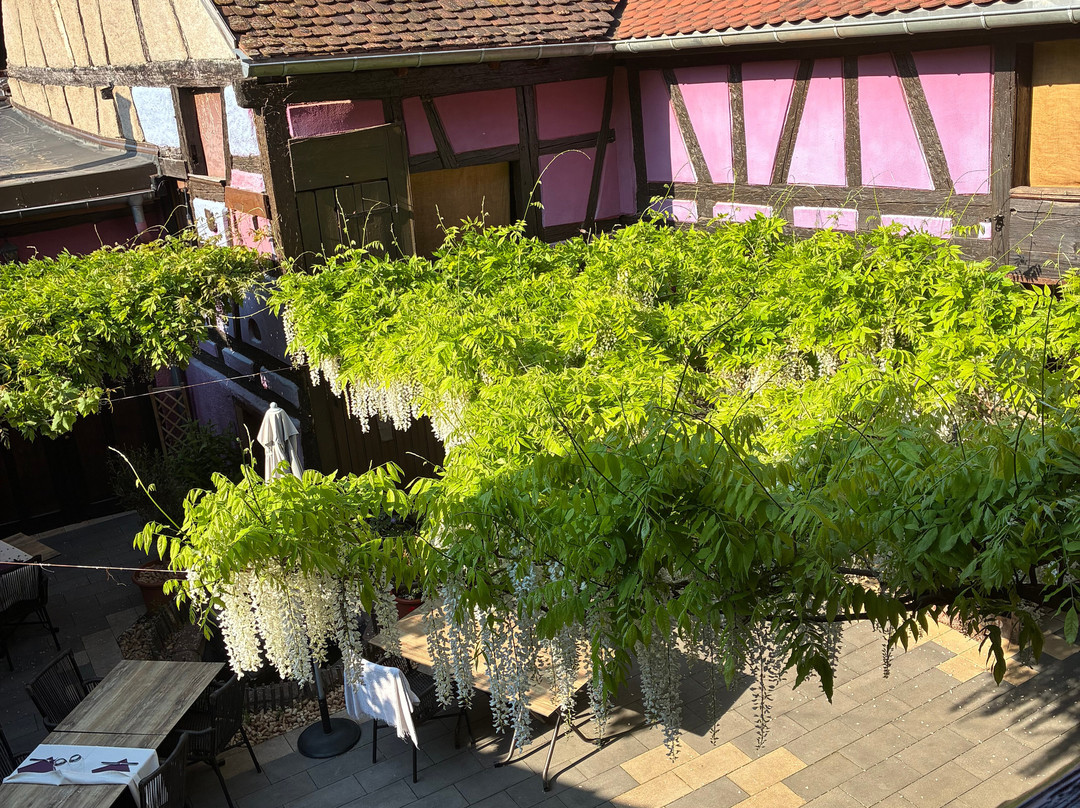 Auberge le Meisenberg主图
