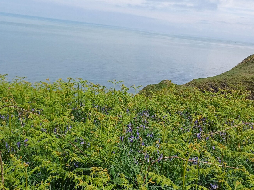 Ceredigion Coast Path-阿伯里斯特威斯必去景点
