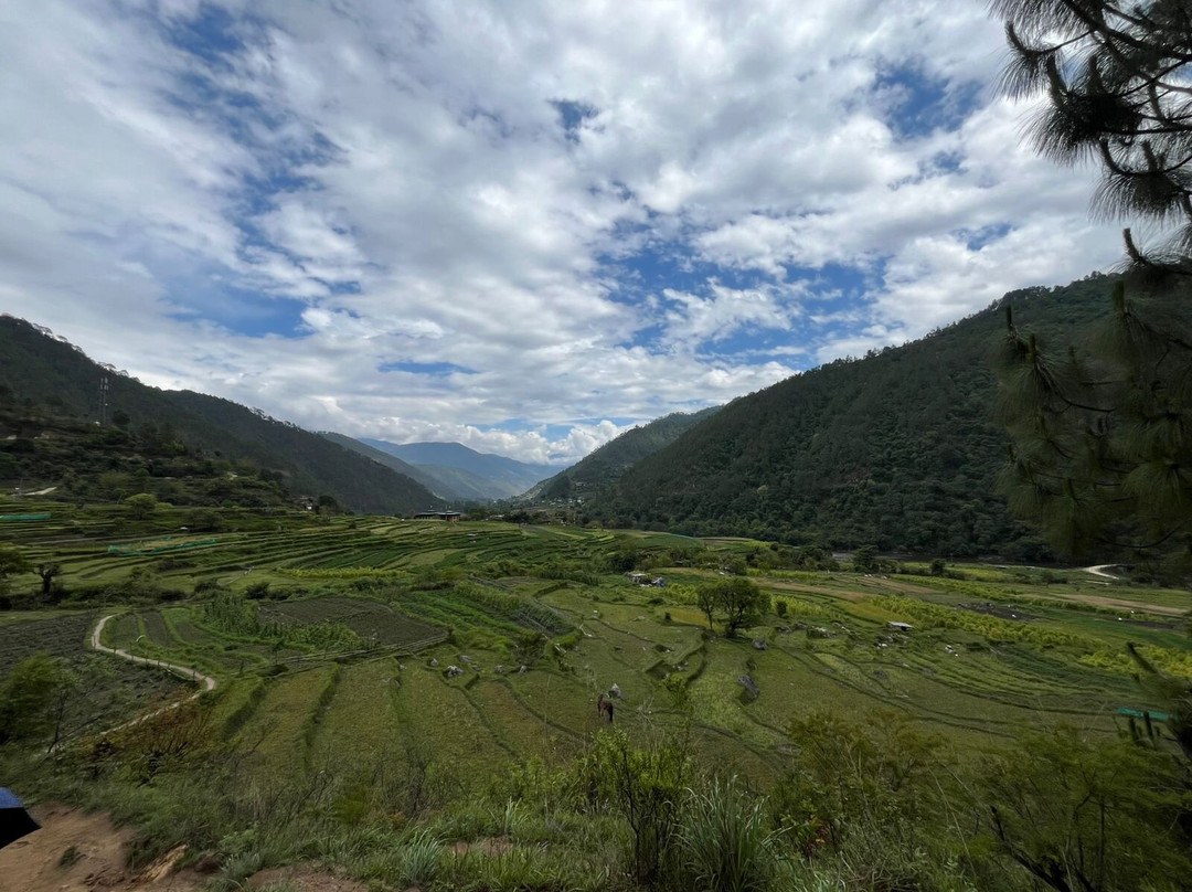 Nature And Beyond-瓦都达拉必去景点