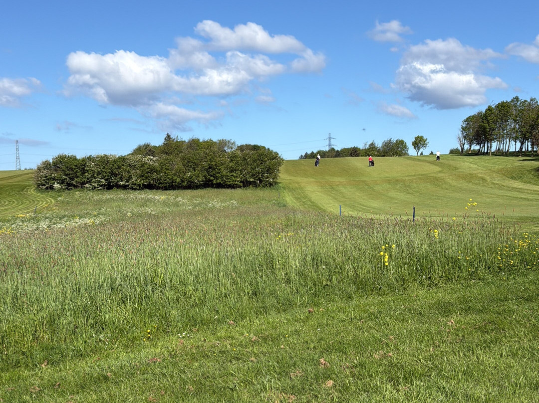 Staining Lodge Golf Course-黑潭必去景点