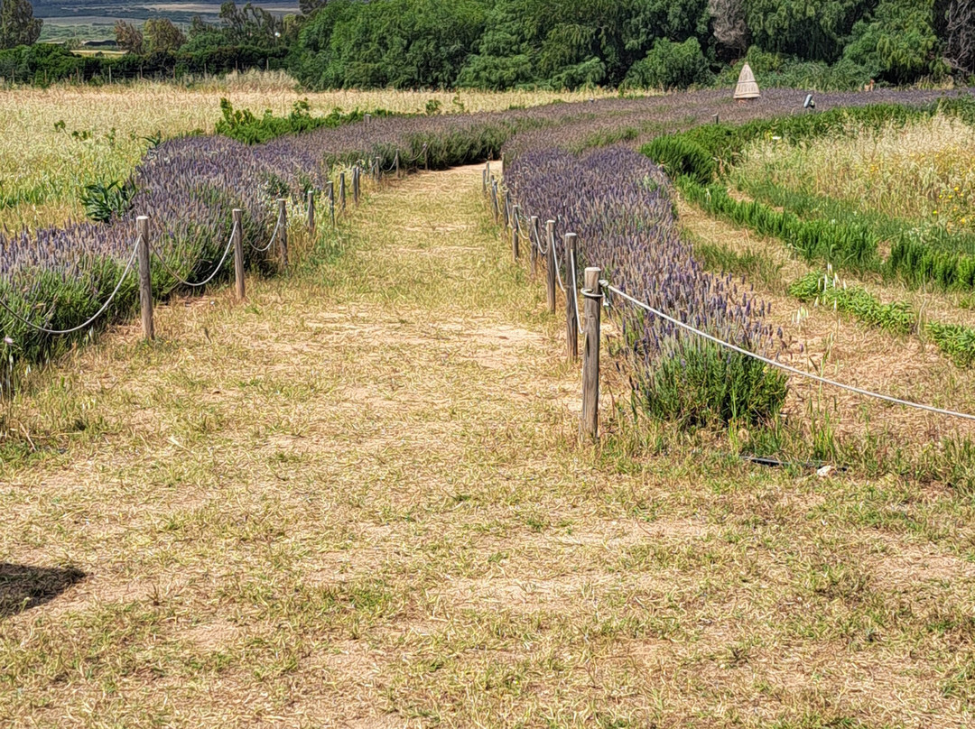 Bee Garden Alghero-阿尔盖罗必去景点