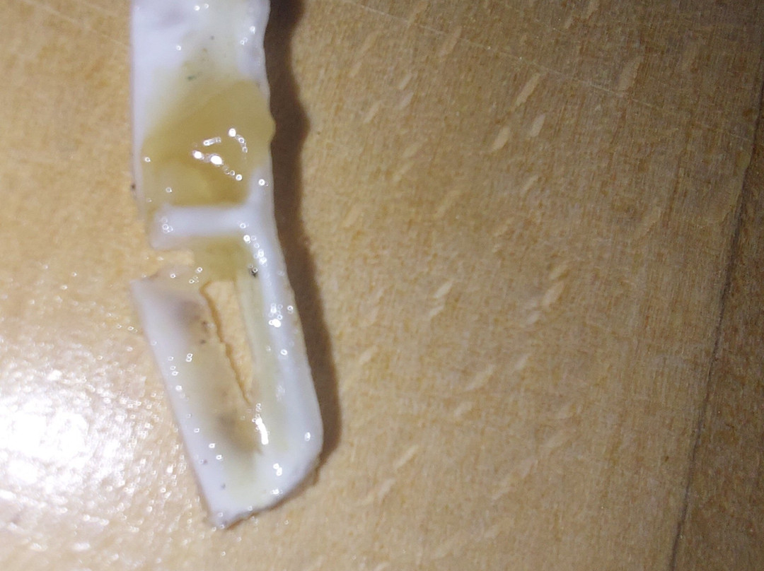 Ocean Fry