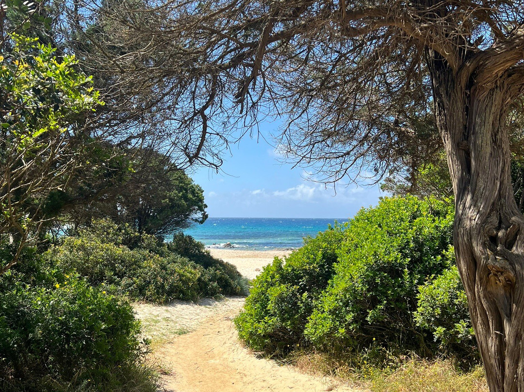 Spiaggia di Cala Cipolla-Chia必去景点