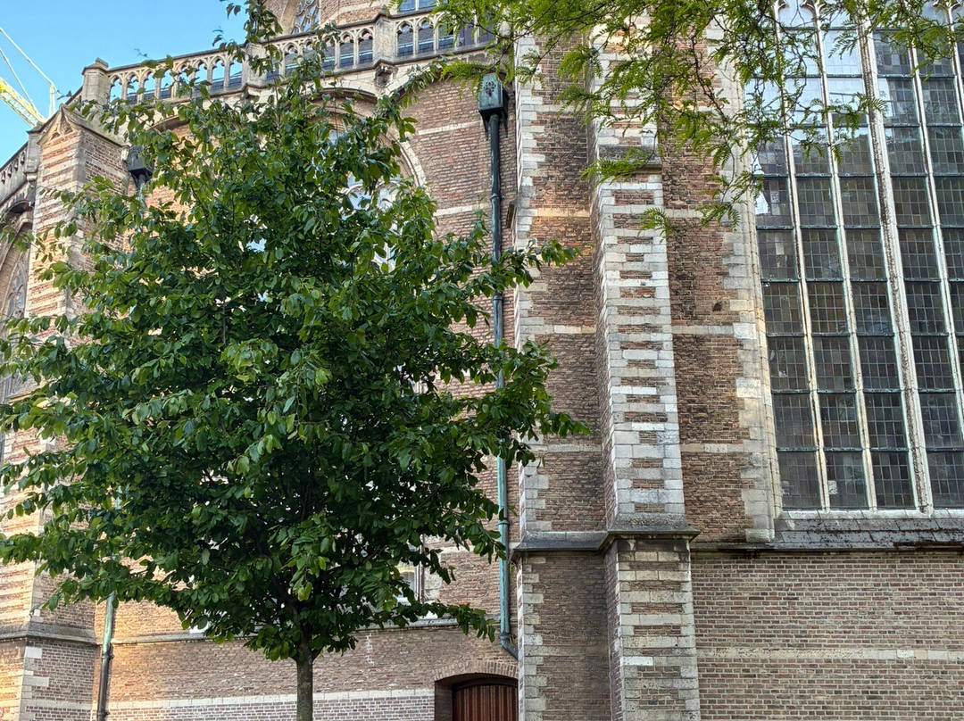 Grote of Sint-Laurenskerk-鹿特丹必去景点