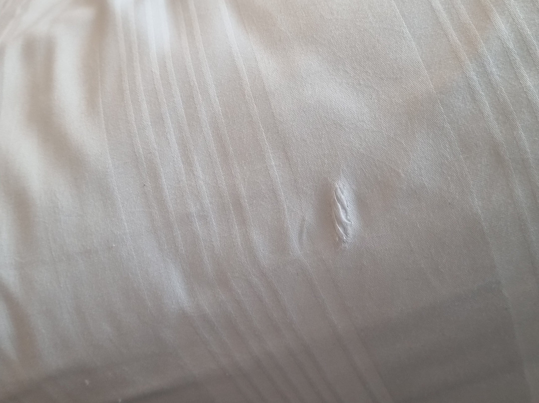 纽卡斯尔华盛顿优品迎酒店主图