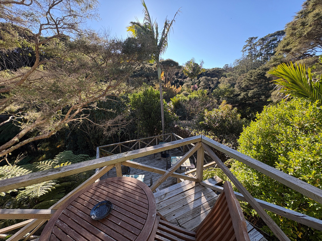 怀赫科岛蓬加山林小屋主图