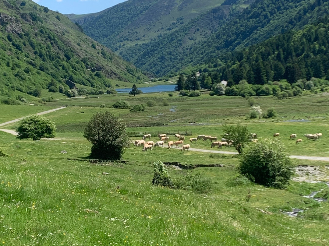 Camping Du Lac D'estaing
