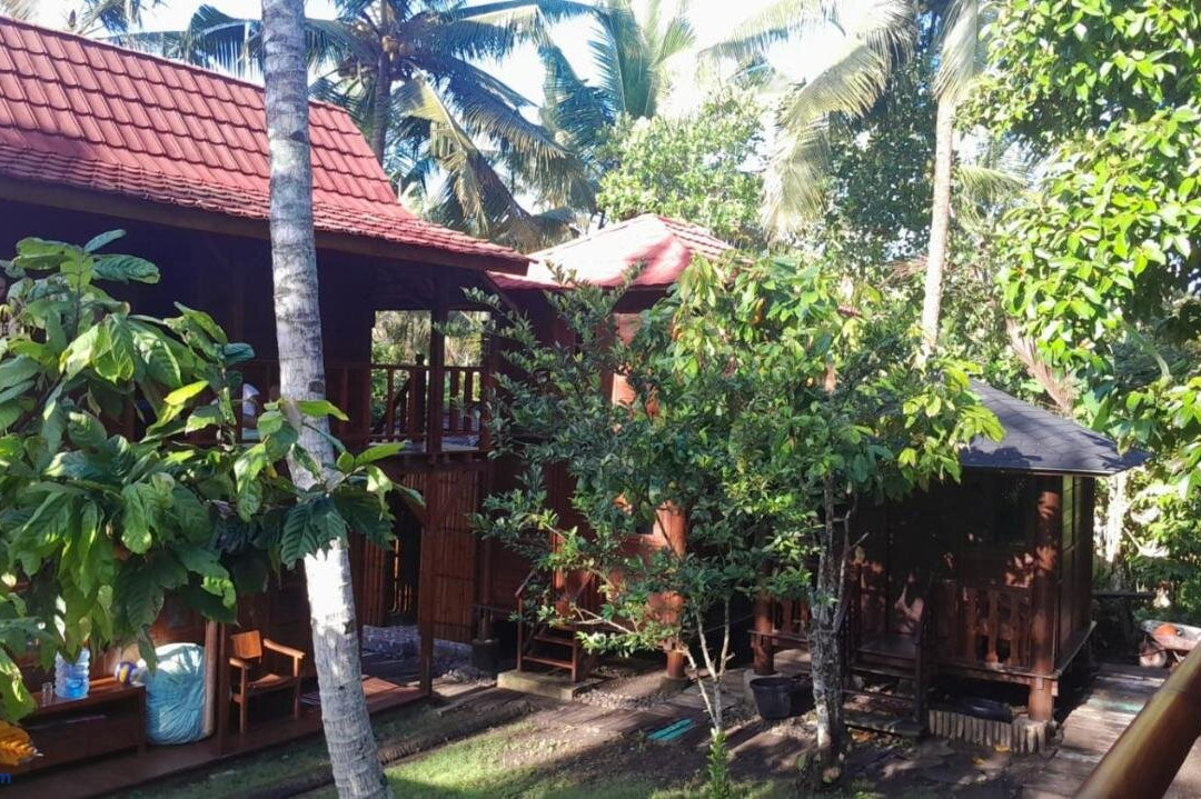 Jungle Lodge Medewi Bali