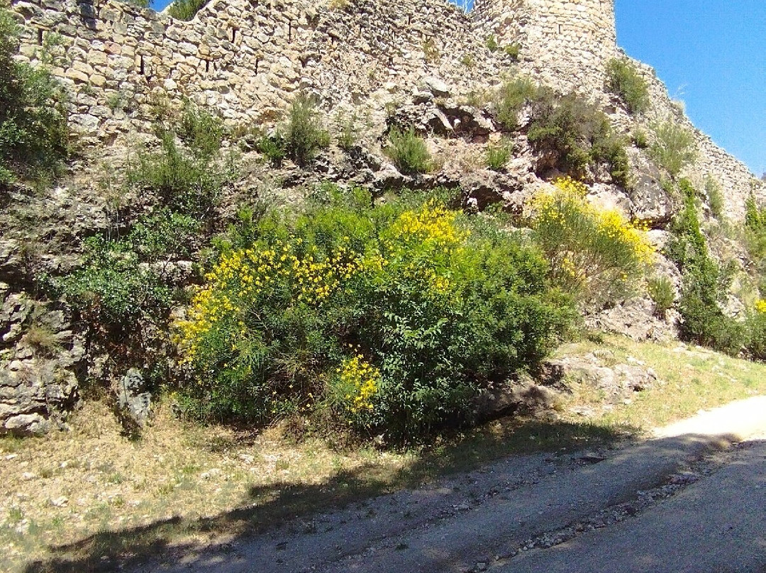 Castell de Subirats-Subirats必去景点