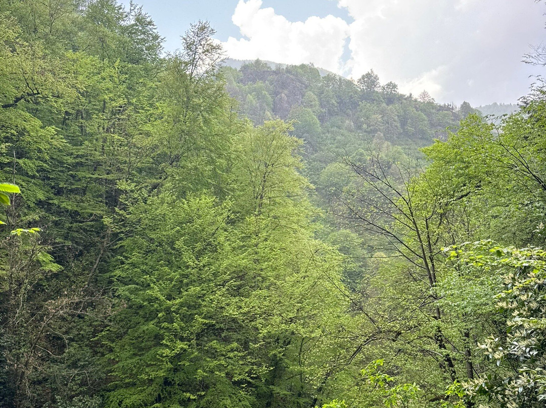 Guzeldere Selalesi Tabiat Parki-迪兹杰必去景点
