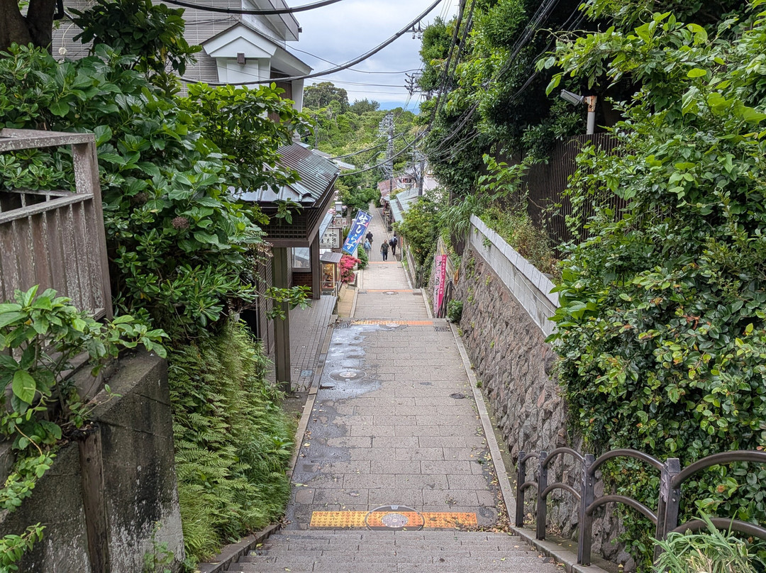 Oiwayado Street-藤泽市必去景点