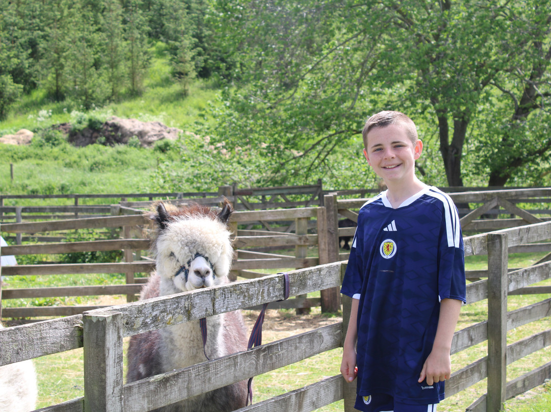 Beirhope Alpacas-Hownam必去景点