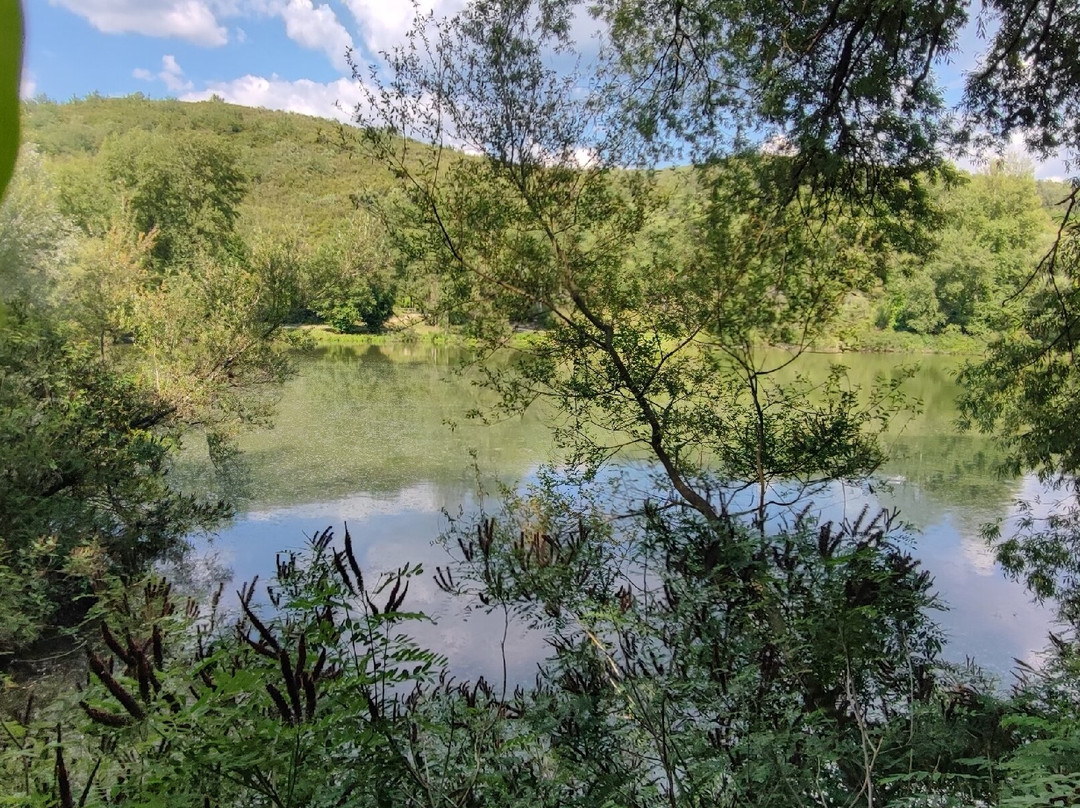 Oasi Fiume Alento-Prignano Cilento必去景点