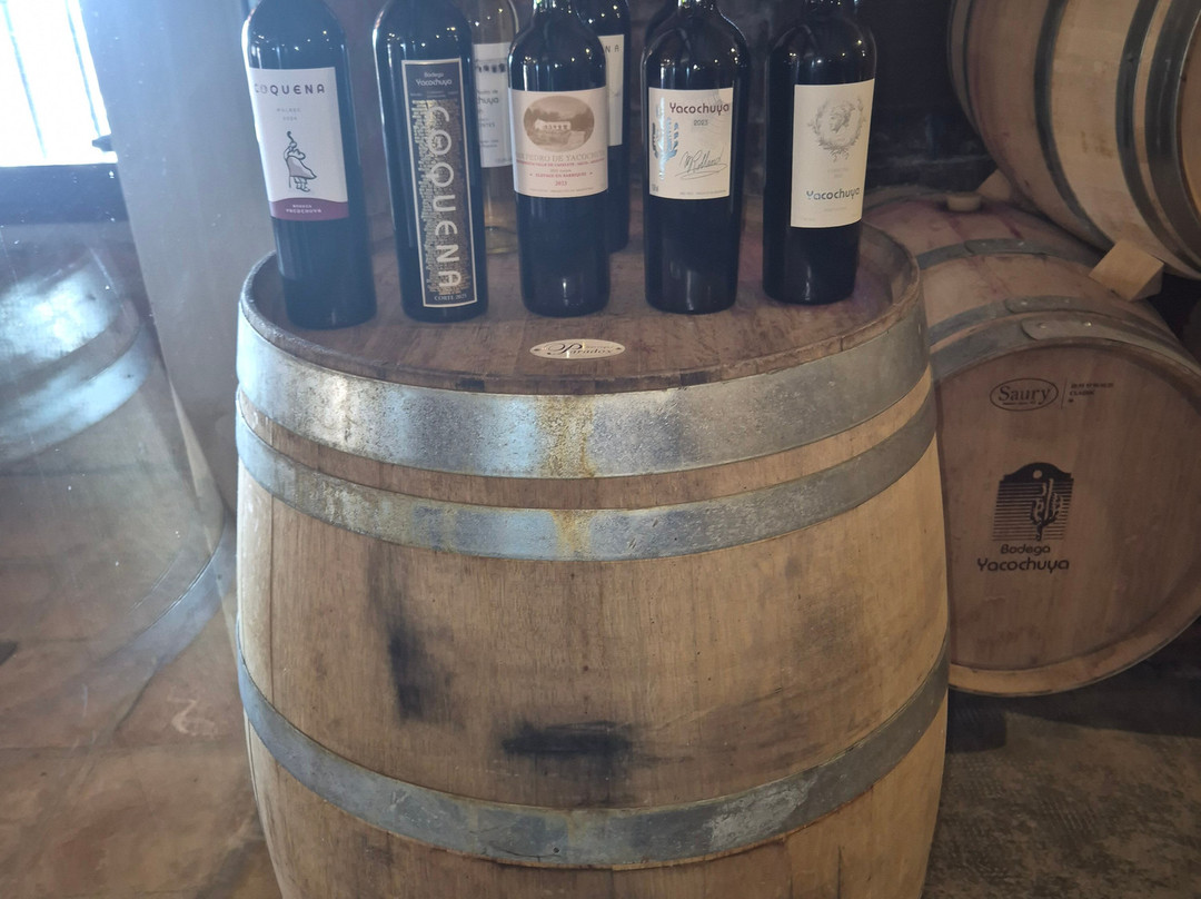 Bodega San Pedro de Yacochuya-卡法亚特必去景点