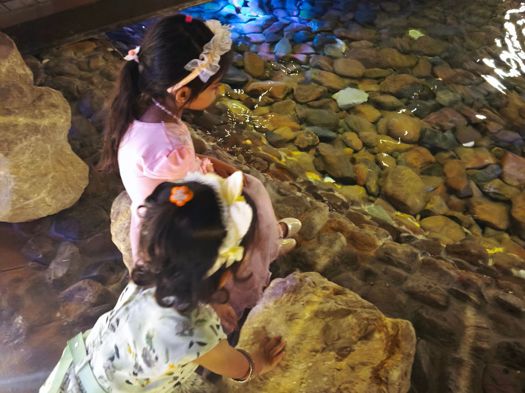 Quranic Park-迪拜必去景点