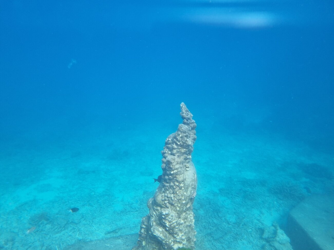 Museum of Underwater Art-North Ward必去景点