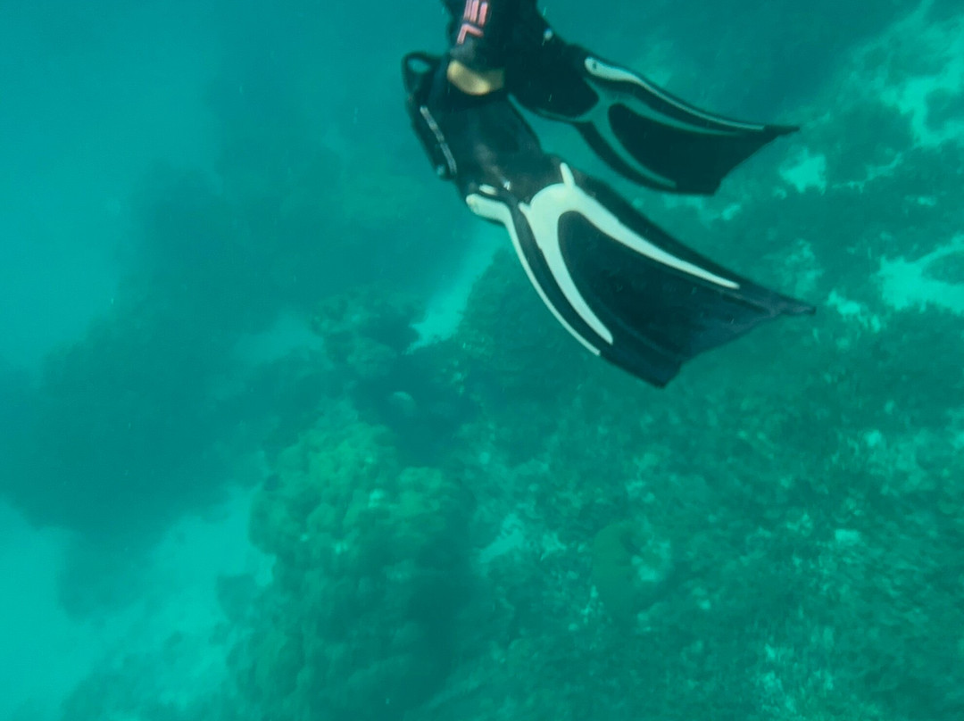 Sub Oceanic at Le Méridien Maldives Resort & Spa-Thilamaafushi必去景点