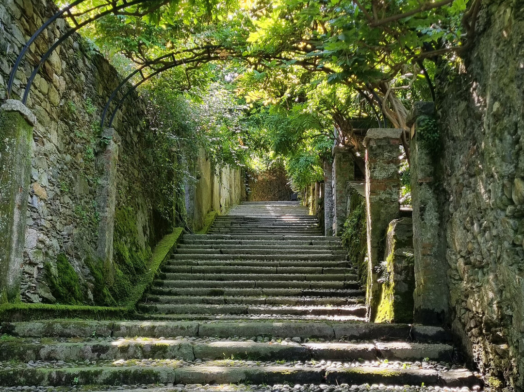 Giardini Botanici dell'Isola Madre-斯特雷萨必去景点