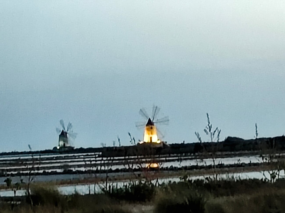 Saline of the Laguna Marsala-马尔萨拉必去景点