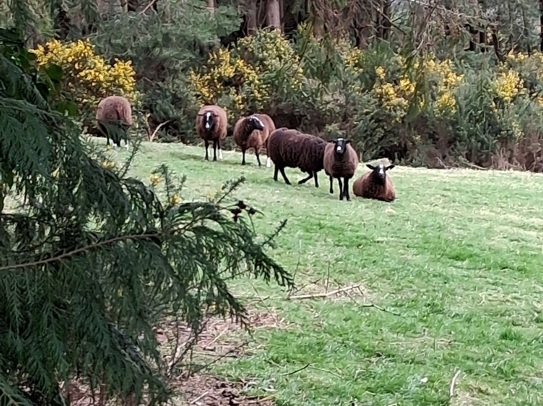 Wicklow Mountains National Park-Glendalough Village必去景点