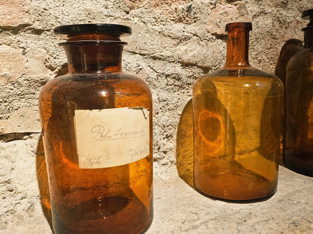 The Pharmacy Museum Cluj  - Mnit-克卢日-纳波卡必去景点