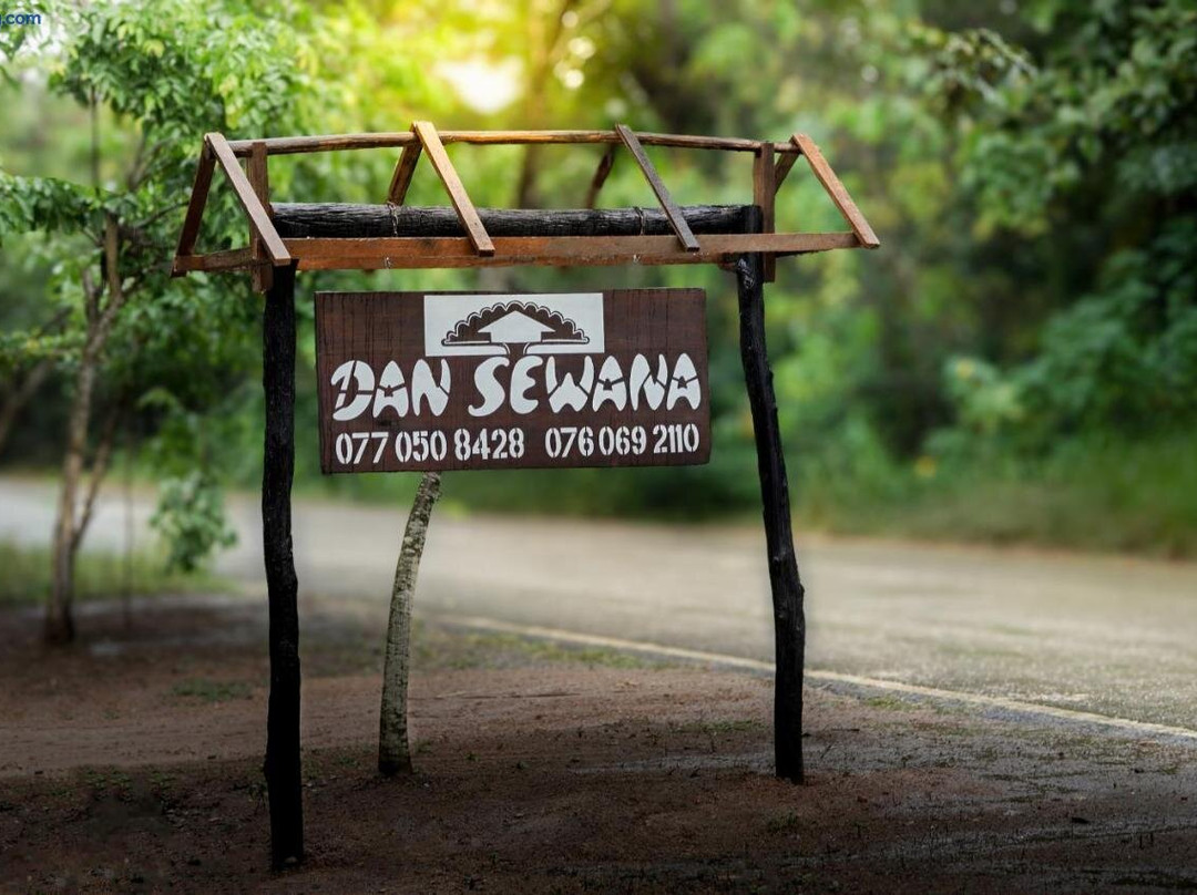 Dan Sewana