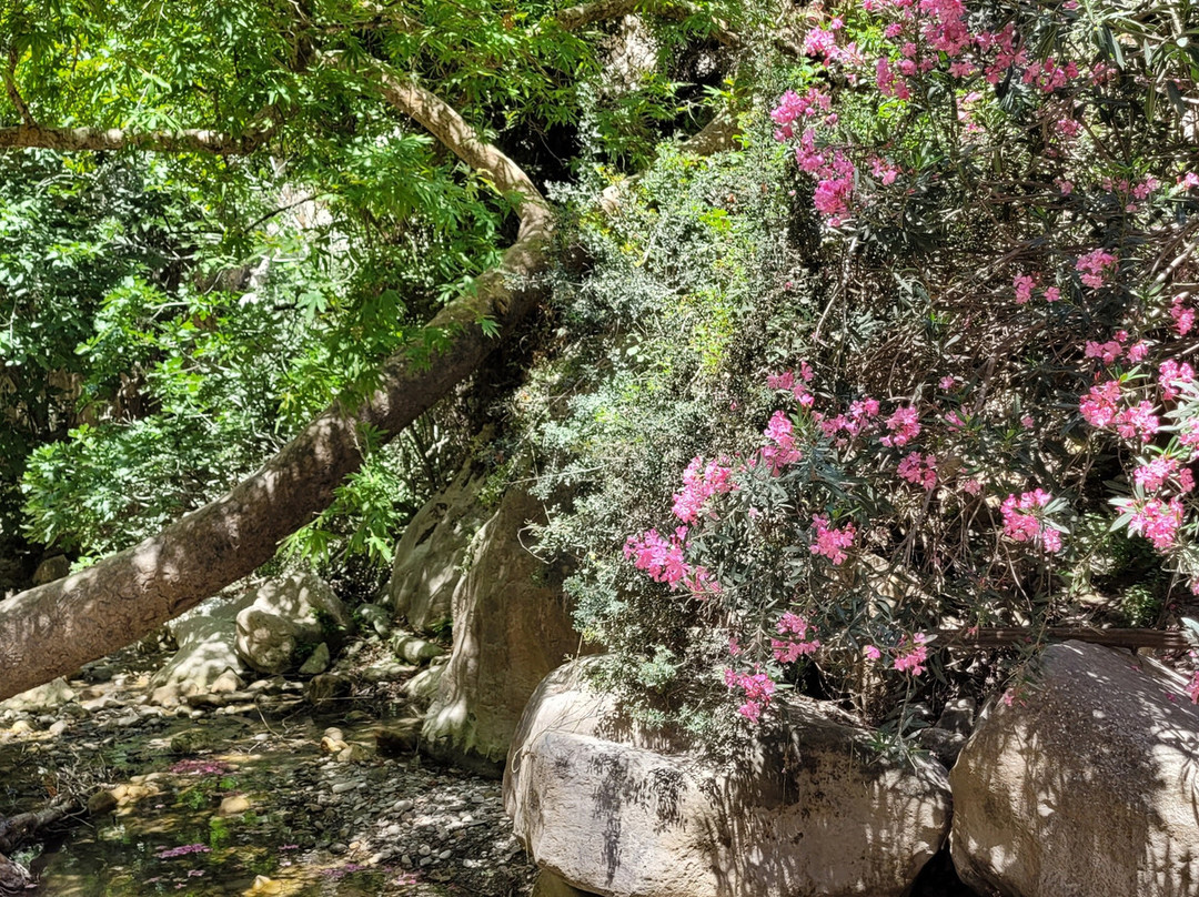 Avakas Gorge-帕福斯必去景点