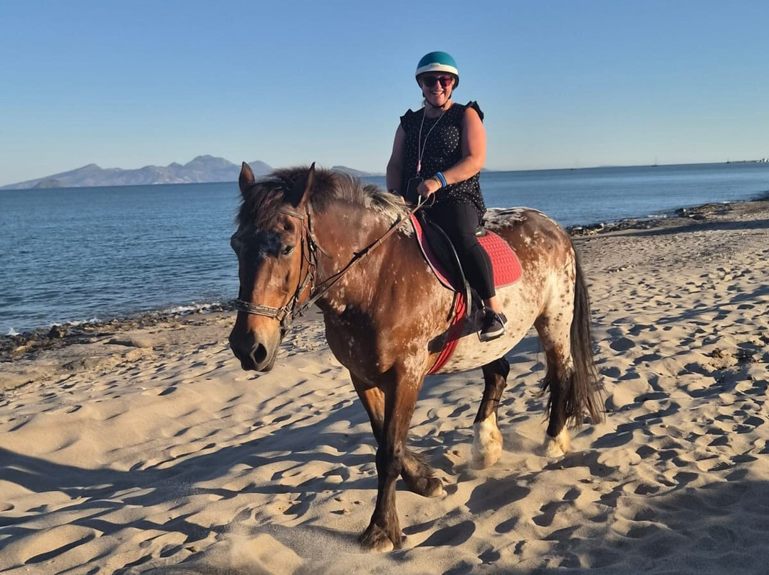Kardamena Horse Riding Center-卡达米那必去景点