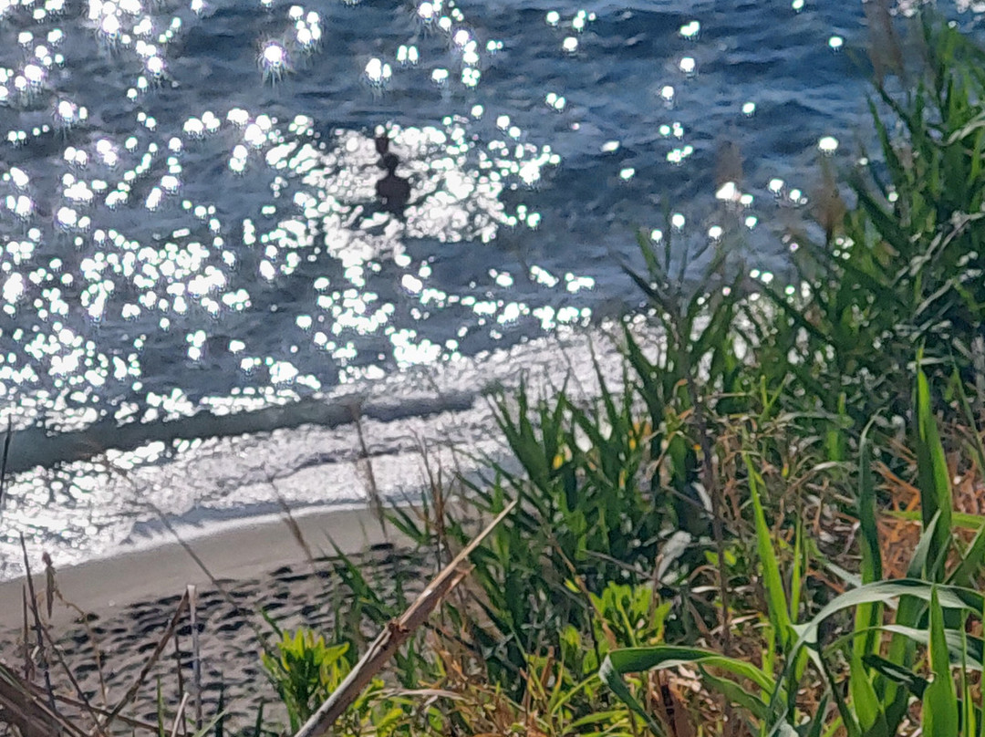 Spiaggia di Cava dell'Isola-福里奥必去景点