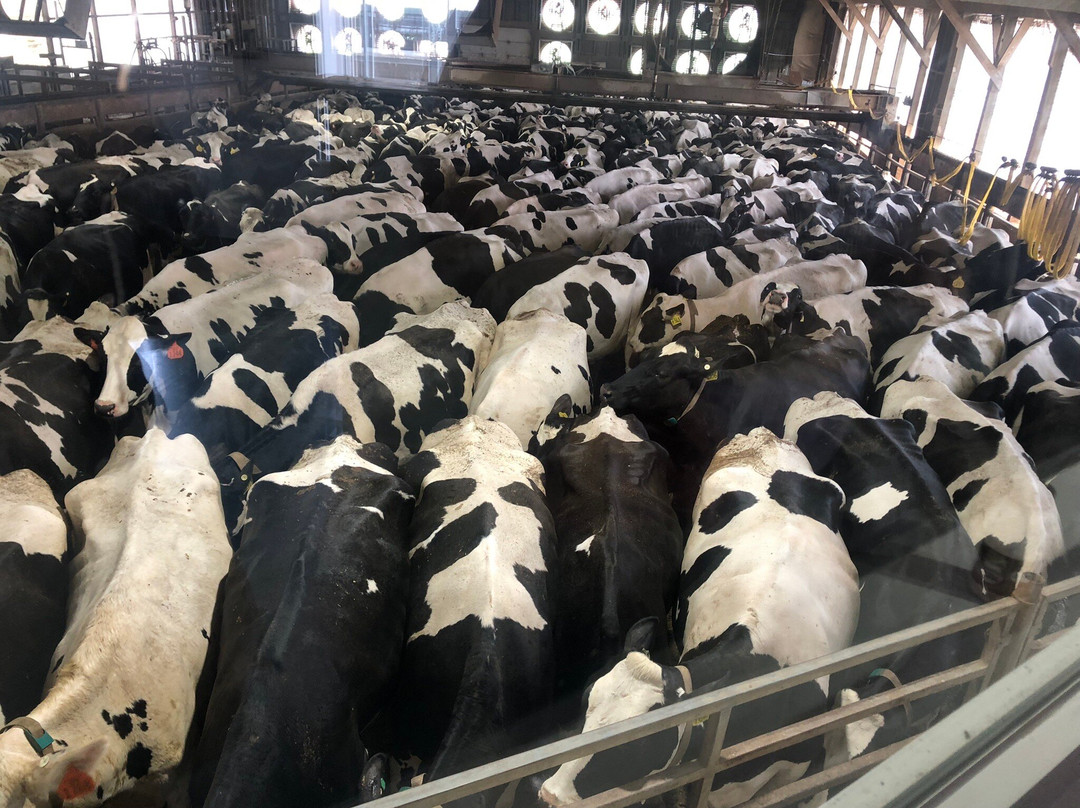 Kreider Farms-Manheim必去景点