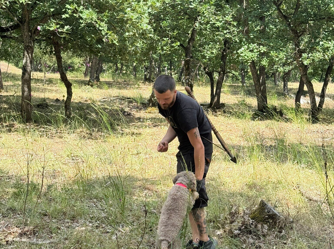 Truffle Hunting-卡兰巴卡必去景点