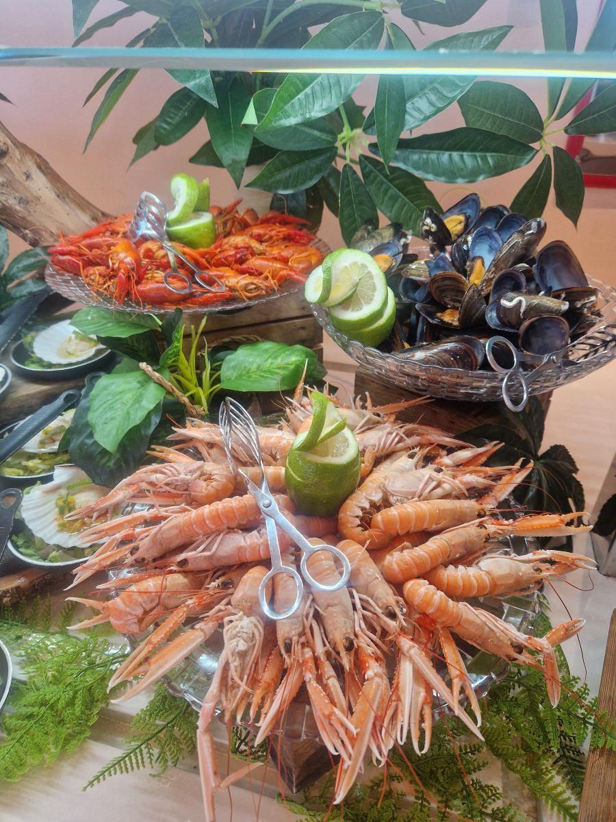 特内里费泰德公园美利亚酒店-旅行者