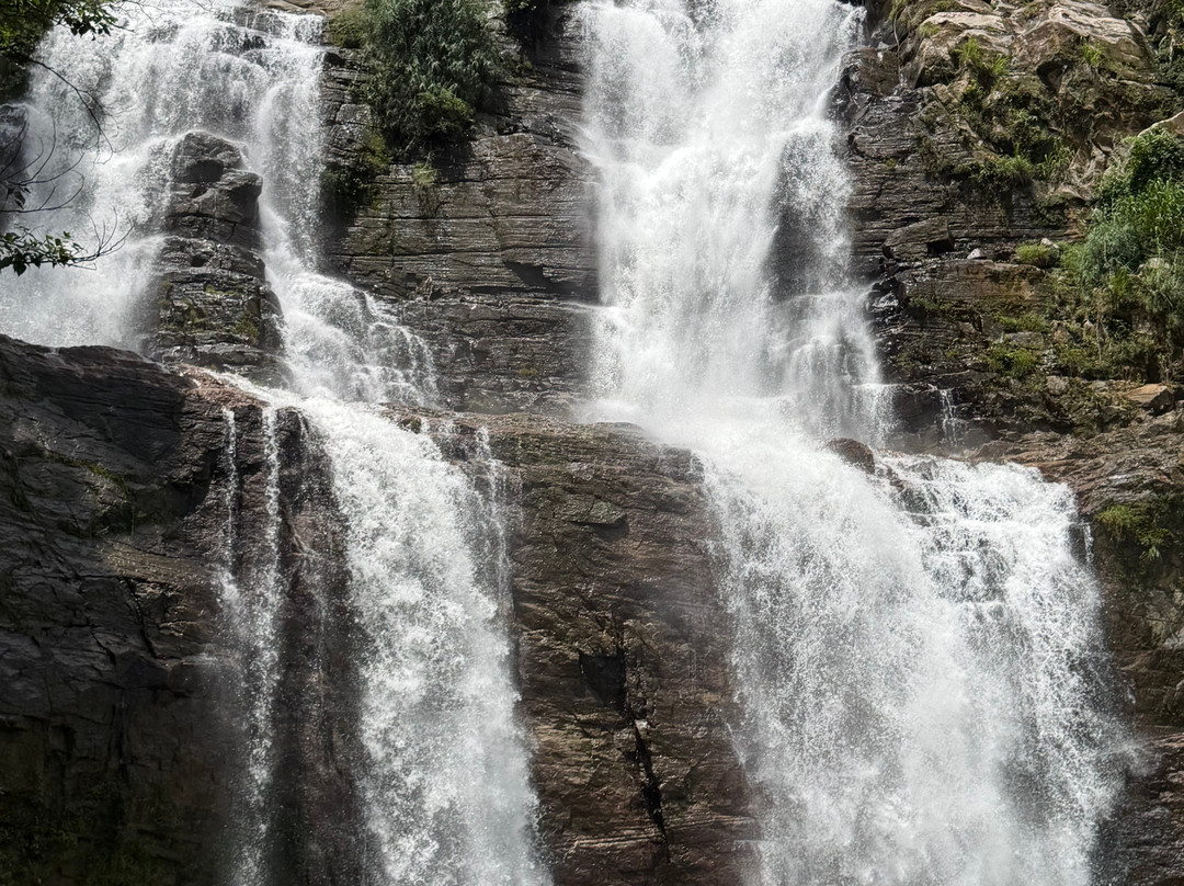 Revival Ceylon Tours-Kuliyapitiya必去景点