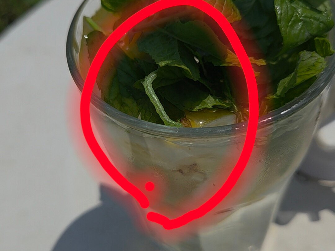 拉布拉达阿兰图酒店主图